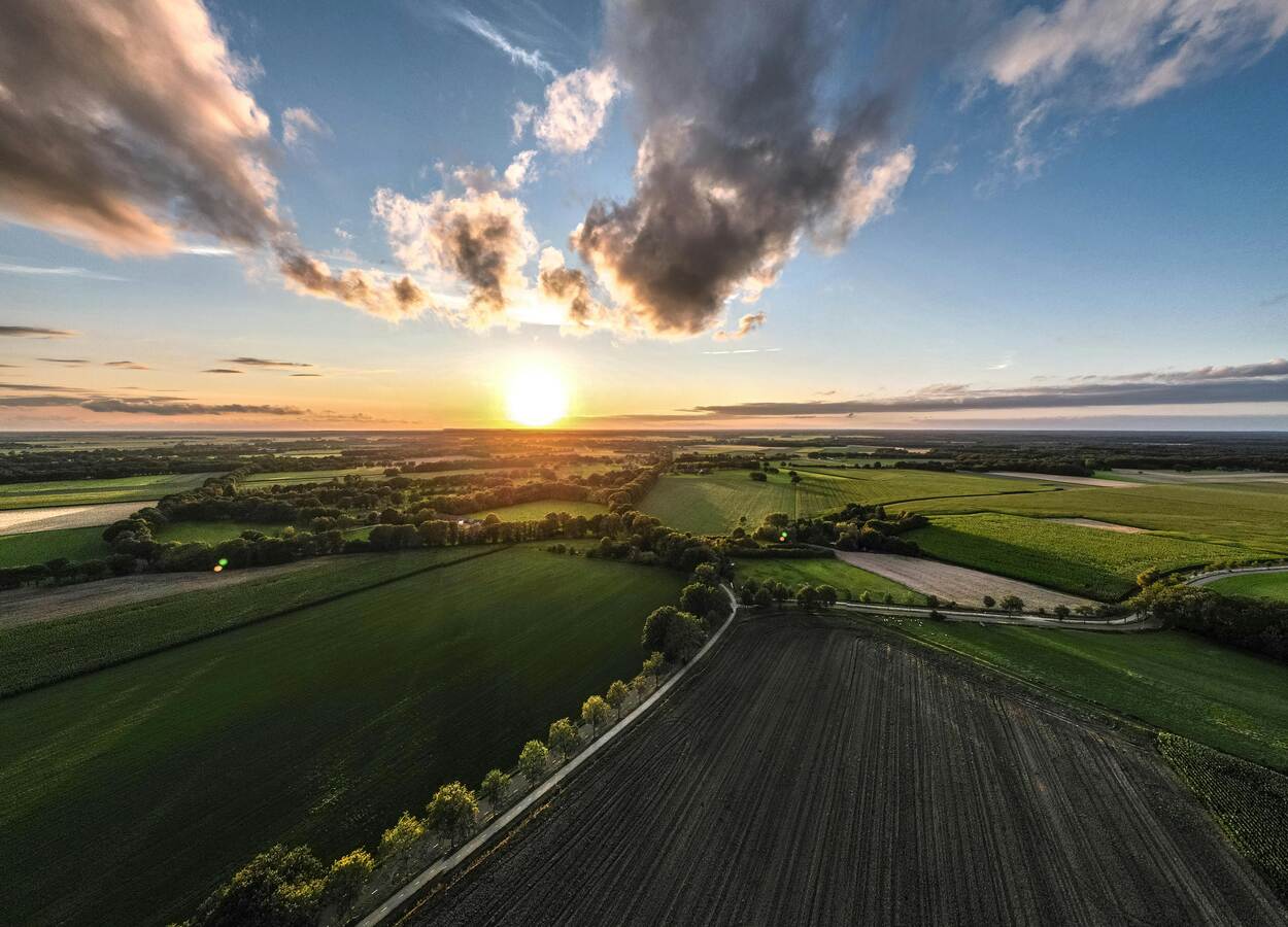 Uitzicht over Nederlands landschap