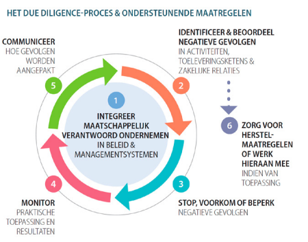 Het due diligence proces & ondersteunende maatregelen